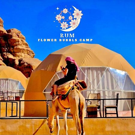 Rum Flower Bubbles Luxury Camp 瓦迪拉姆 外观 照片