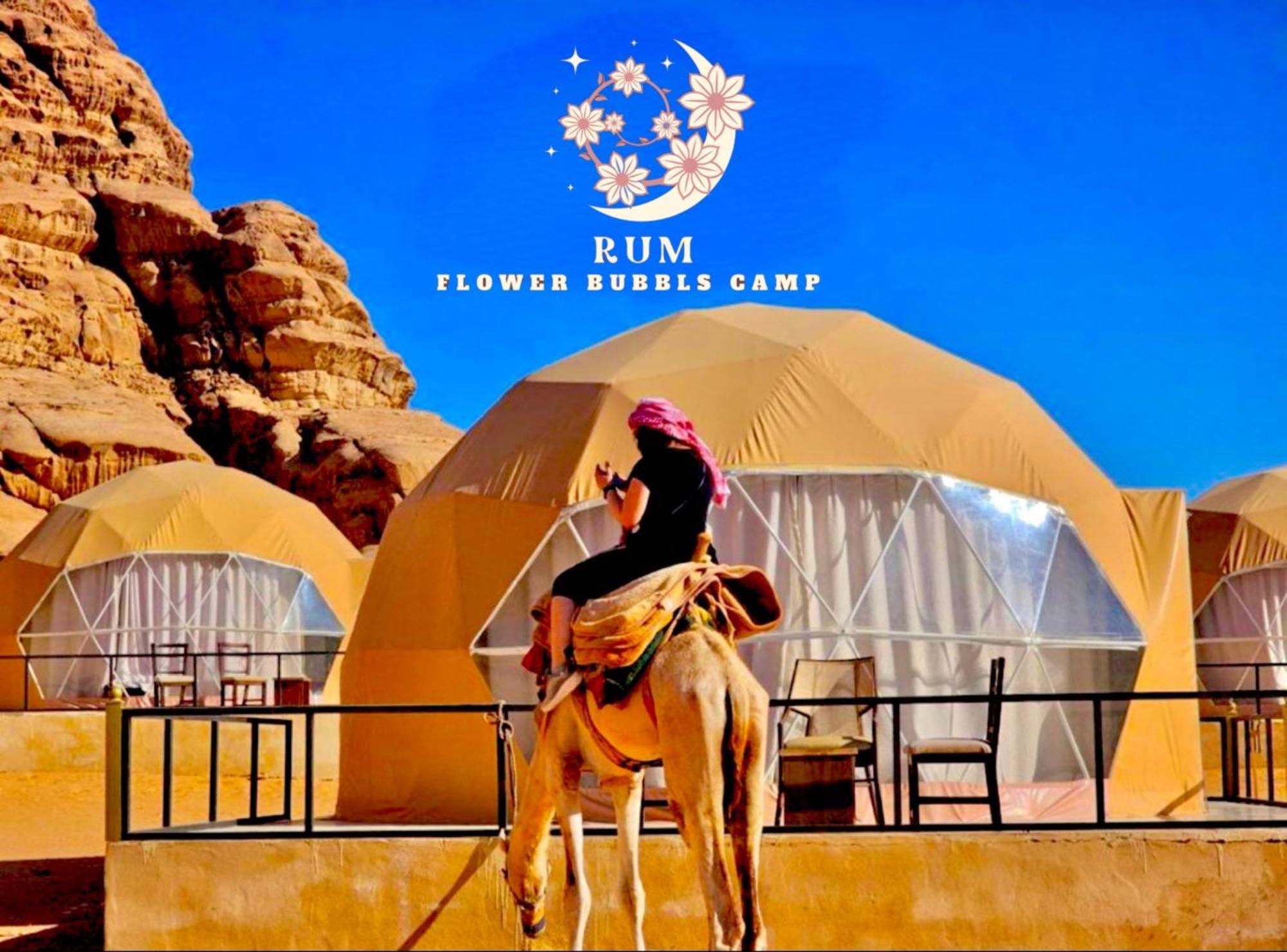 Rum Flower Bubbles Luxury Camp 瓦迪拉姆 外观 照片